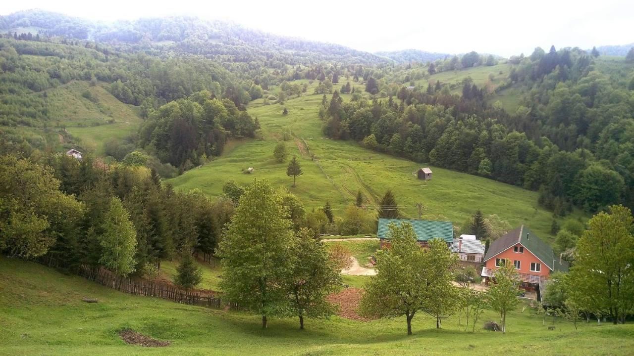 Отели типа «постель и завтрак» Casa Geanina Колибица-30