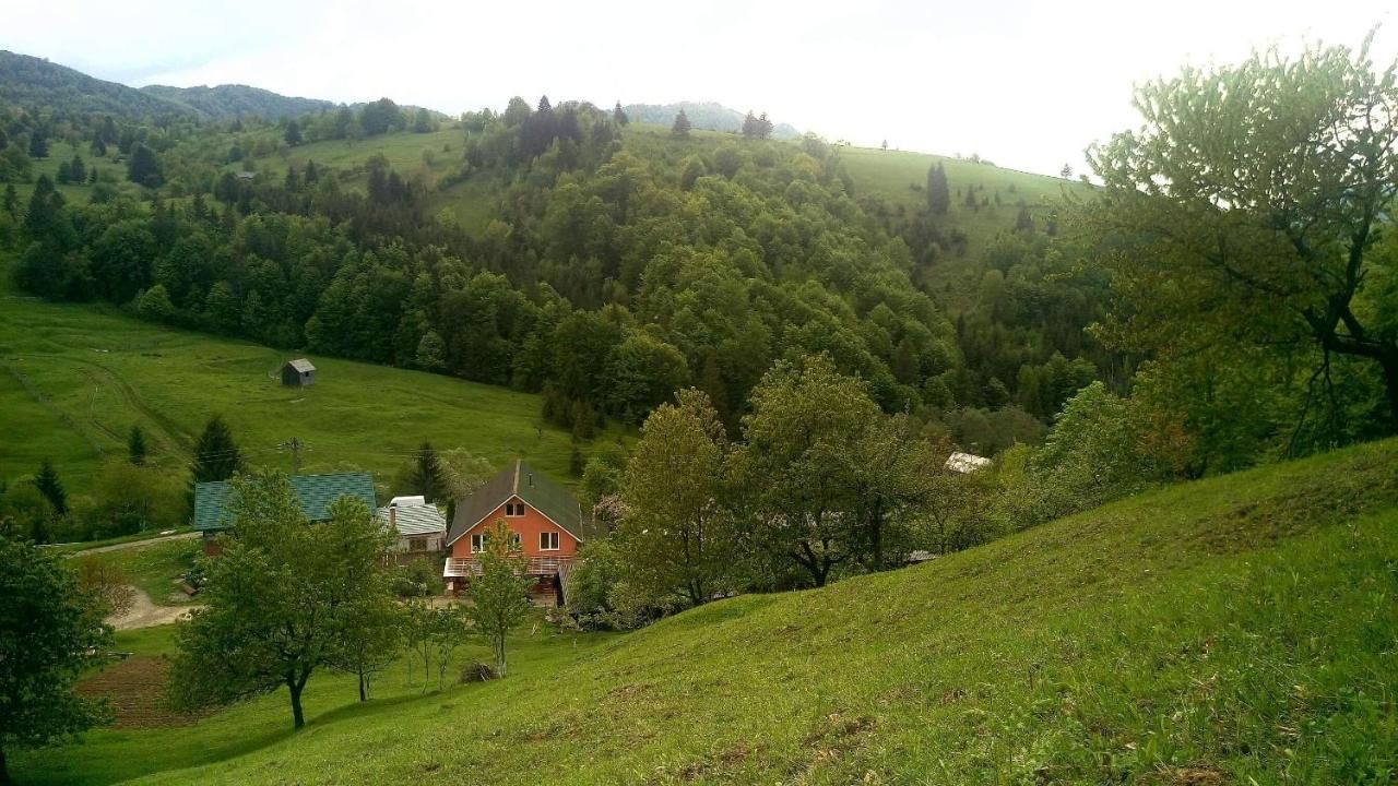 Отели типа «постель и завтрак» Casa Geanina Колибица-31