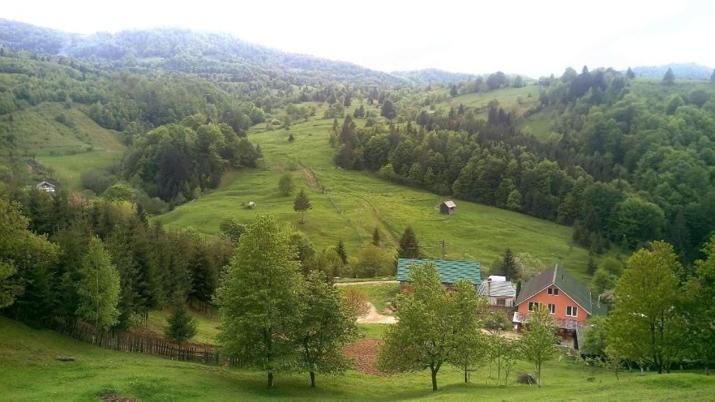 Отели типа «постель и завтрак» Casa Geanina Колибица